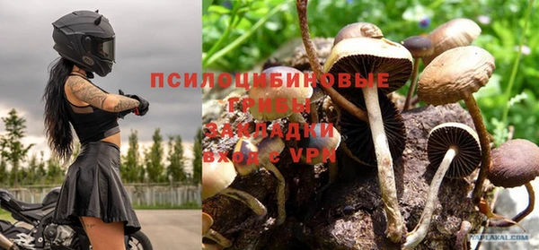 mix Алексин