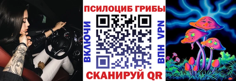 Галлюциногенные грибы MAGIC MUSHROOMS наркошоп Дыгулыбгей